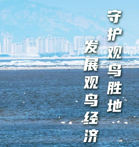 冀生态丨守护观鸟胜地 发展观鸟经济